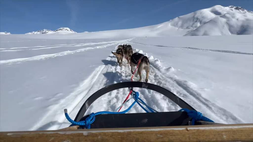 Unique Things to Do in Alaska: Dog Sledding in Skagway